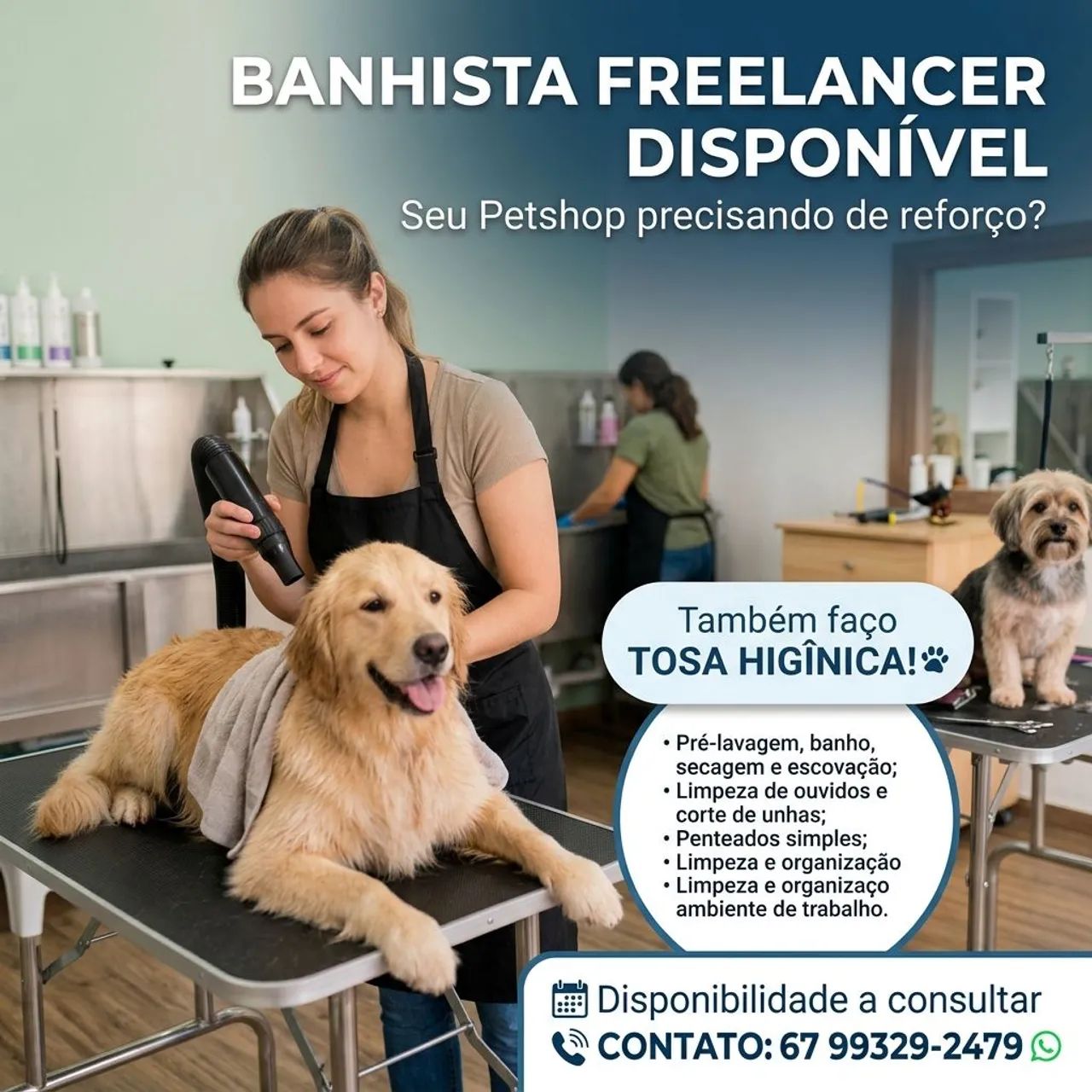 Banhista de Petshop Freelancer / Diarista