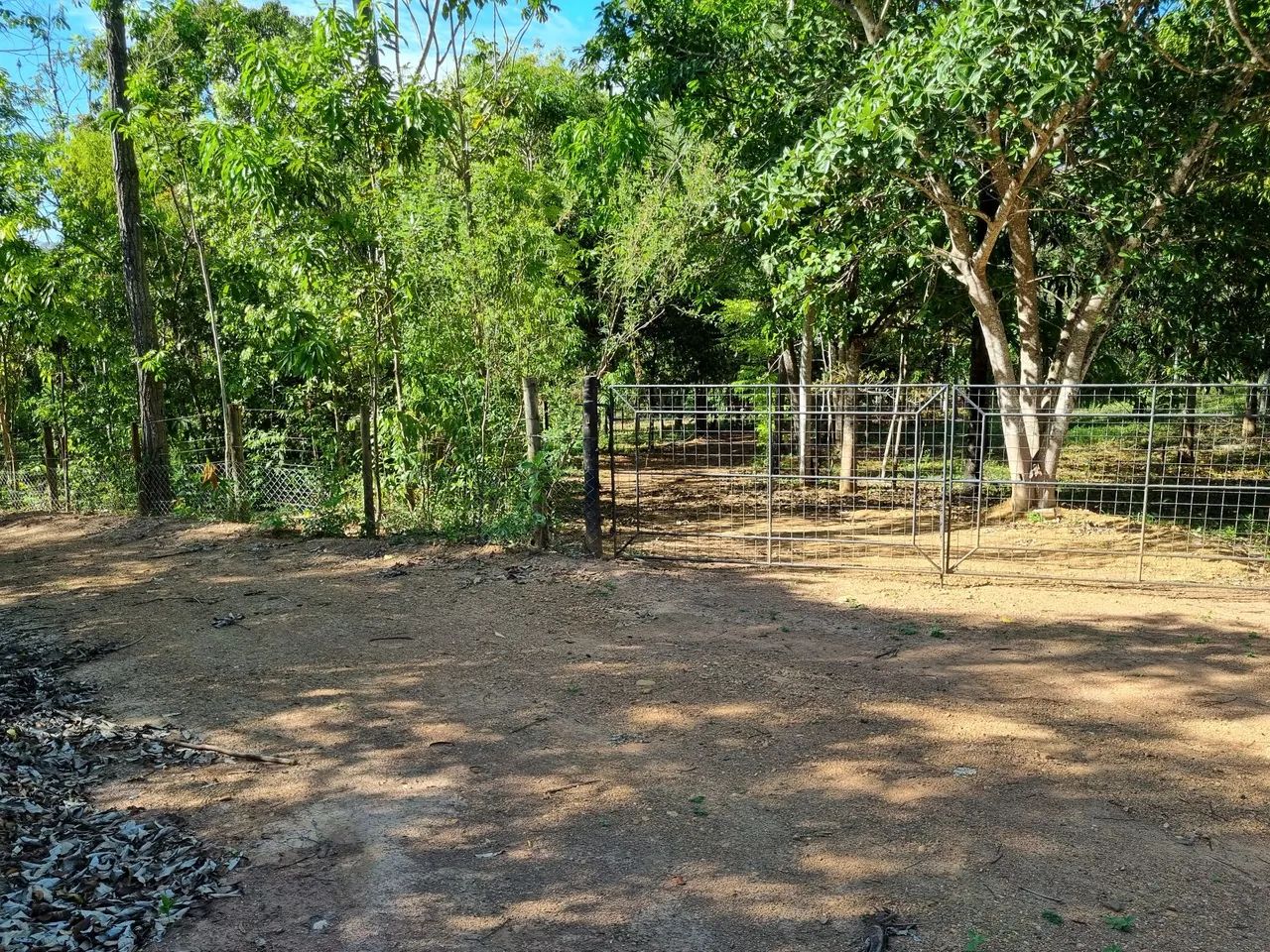 Chácara com 1 hectare - Oportunida Única  - Foto 3