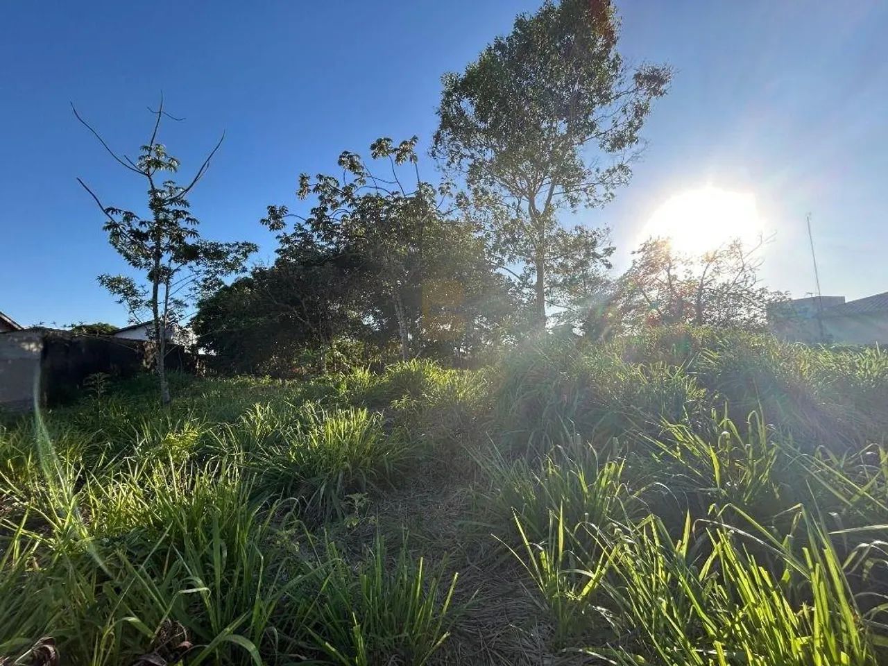 TERRENO - VENDA - Bom Clima - Chapada dos Guimarães/MT - Foto 5