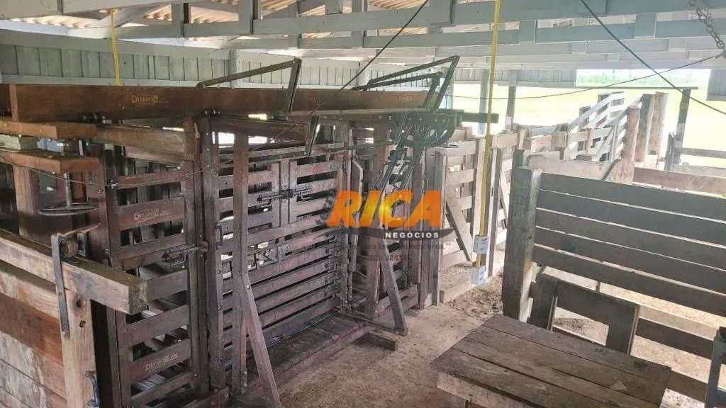 FAZENDA À VENDA NOVA MAMORÉ/RO - Foto 5