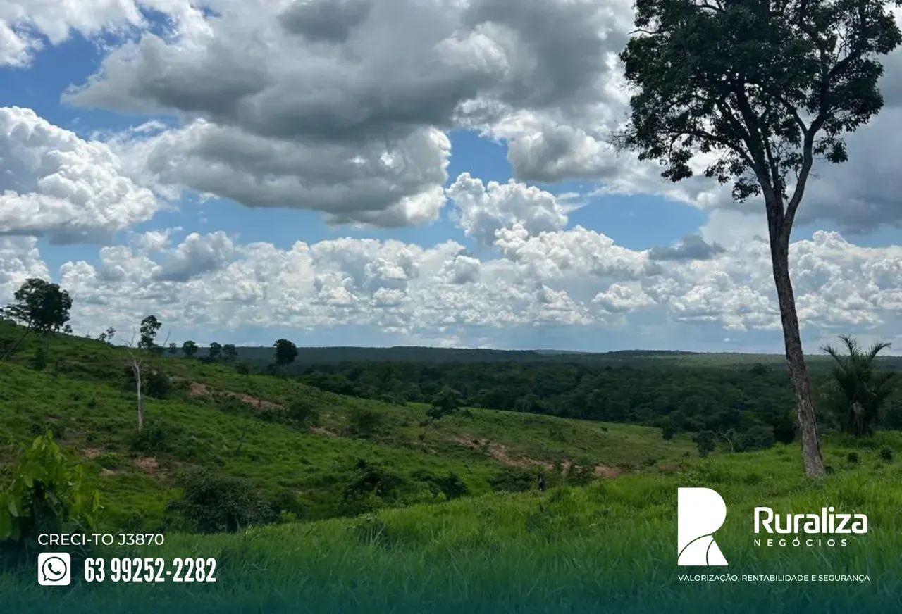 RIO SONO | 10 DIVISÕES DE PASTO | PRONTA PARA PECUÁRIA - Foto 2