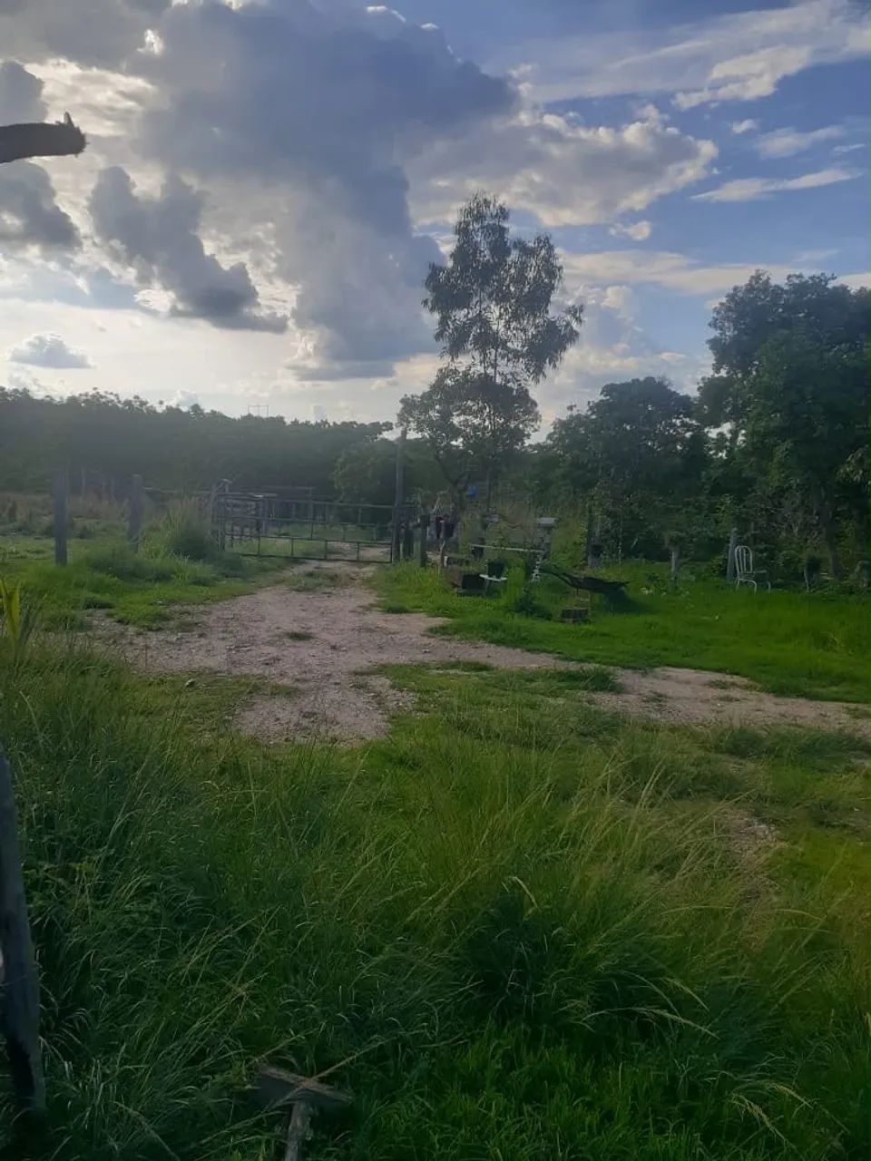 Chácara faina
