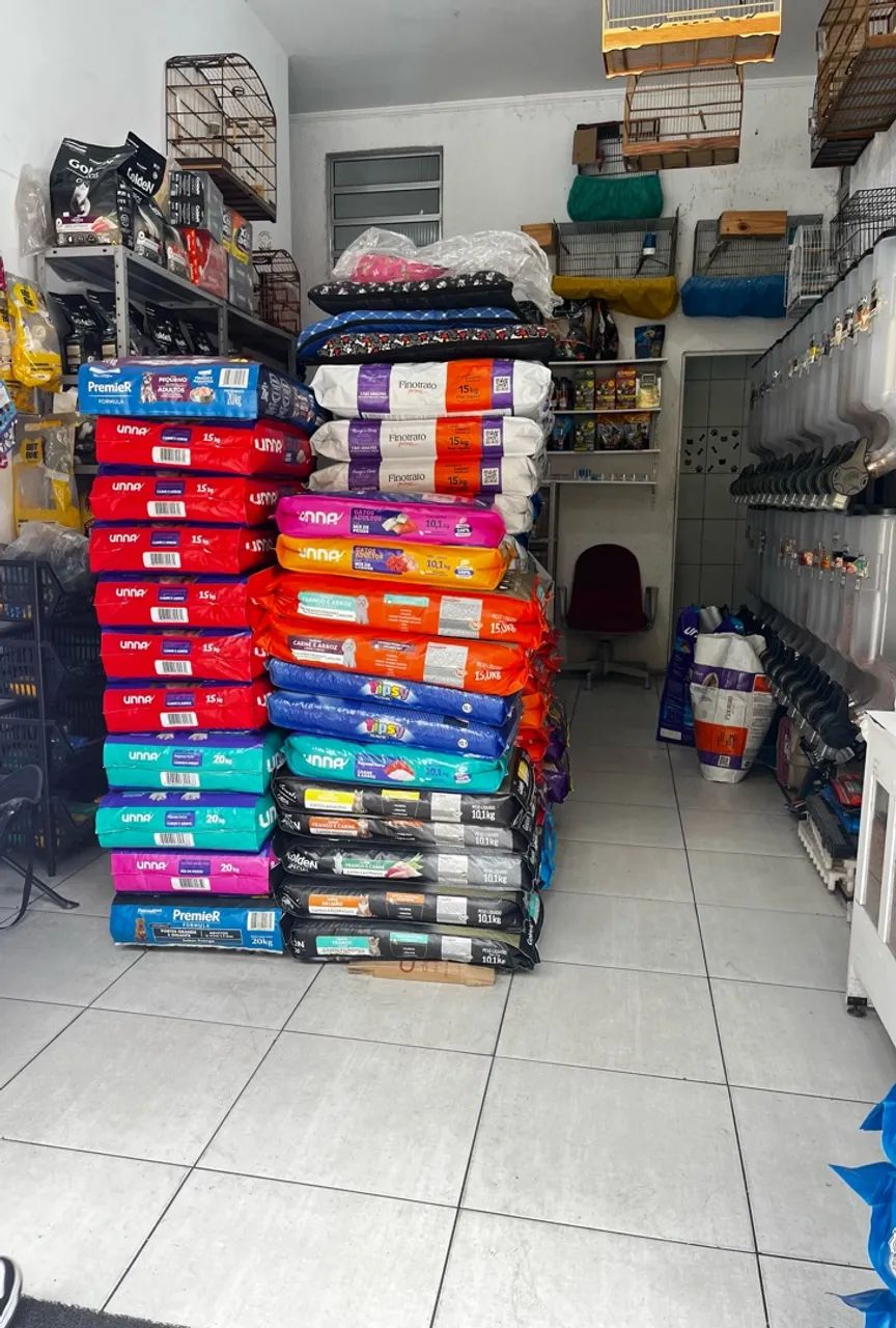 Petshop disponível  - Foto 3