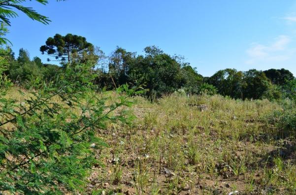Terreno à venda, 728 m² por R$ 355.000,00 - Prinstrop - Gramado/RS - Foto 8
