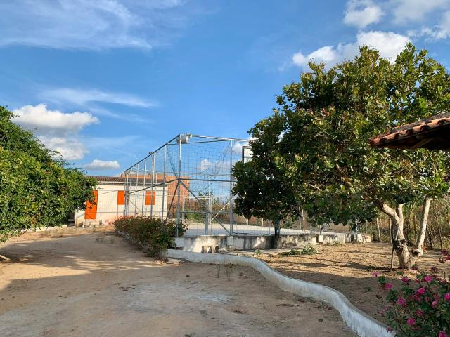 Chácara - Foto 6