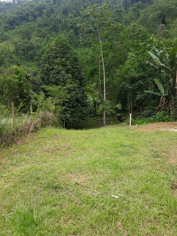 Vende se lote paraty * so nesse numero - Foto 9