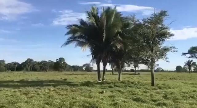 Fazenda em Santo Antônio do Leverger 9.880 hectares - Foto 11