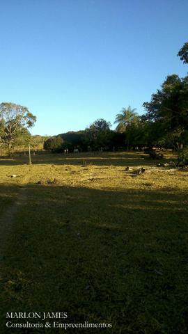 Fazenda Para Gado Ipameri-Go! - Foto 7