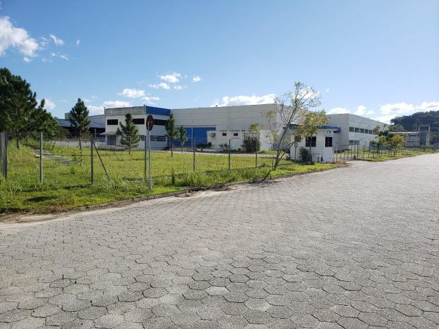 Galpão/Depósito/Armazém para aluguel e venda com 4000 metros quadrados - Foto 2