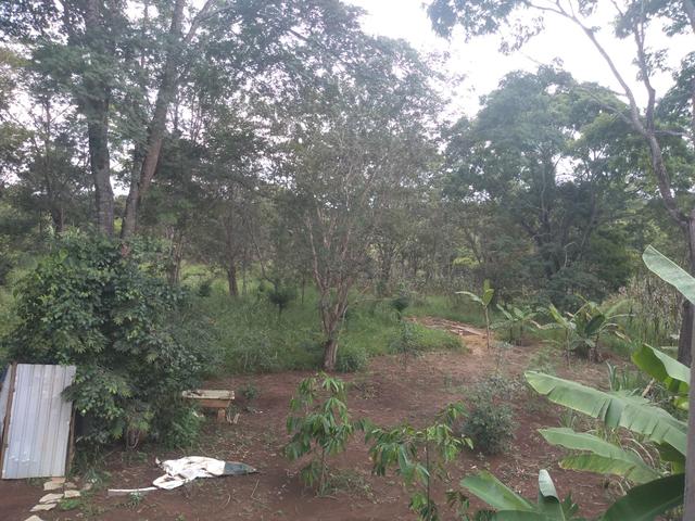 Vendo ou troco excelente chácara - Foto 6
