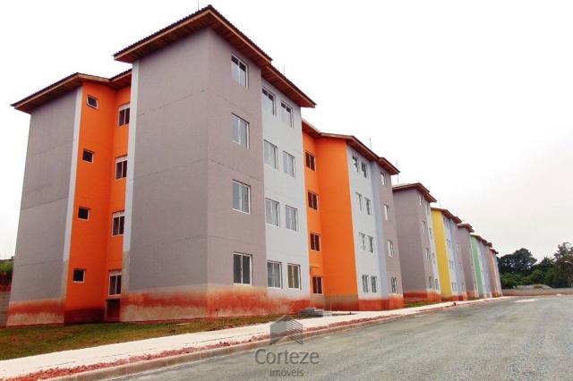Apartamento 3 quartos em Colombo - Foto 2