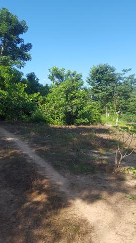 Lote vendo ou troco - Foto 3