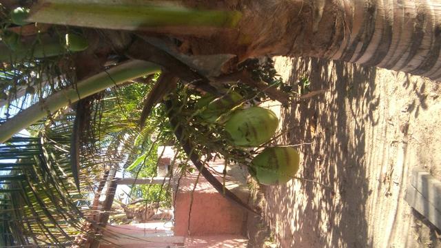 Sitio - Foto 6