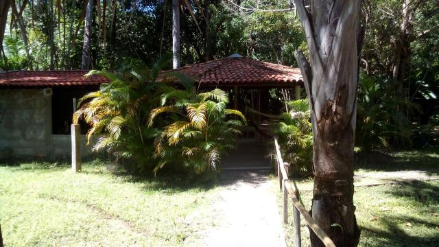 Sítio com Riacho - Foto 2