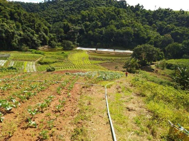 Excelentes terrenos - Foto 5