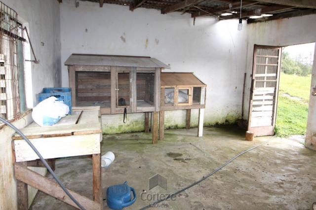 Chácara no Barro Branco em São José dos Pinhais - Foto 12