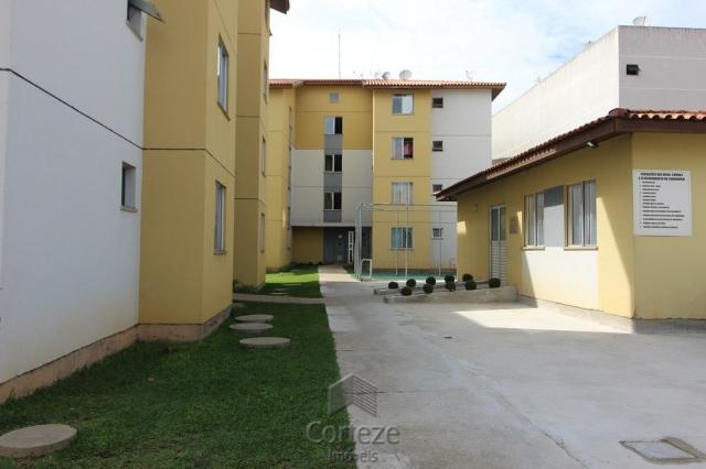 Apartamento 2 dormitórios no Sitio Cercado - Foto 2