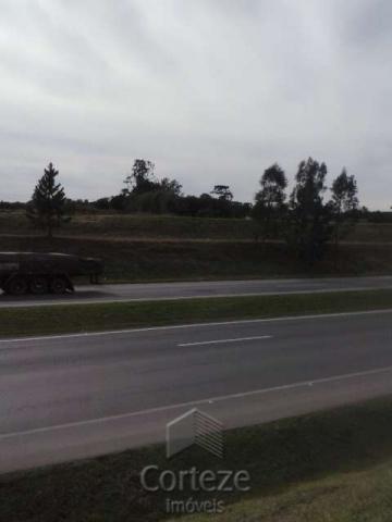 Terreno amplo no Costeira - Foto 10
