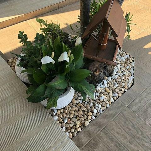 Manutenção de jardim - Foto 6