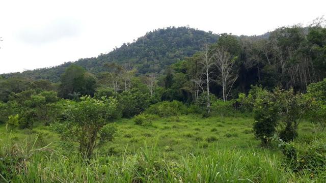 Fazenda com excelente localização - Foto 17
