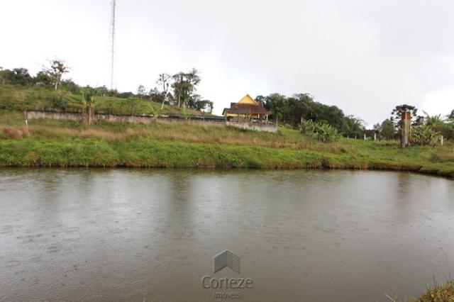 Chácara no Barro Branco em São José dos Pinhais - Foto 16