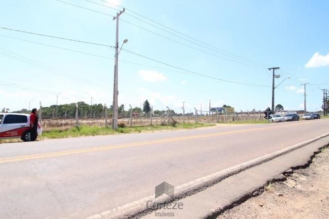 Terreno na Região do São Marcos BR-376 - Foto 7