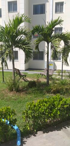 Apartamento 2/4 entrada parcelada em 72 x - 1 ano gratis de condominio - Pronto para Morar - Foto 5