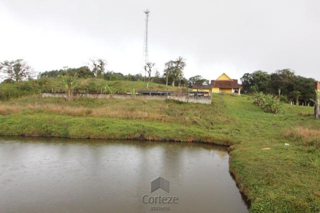 Chácara no Barro Branco em São José dos Pinhais - Foto 15
