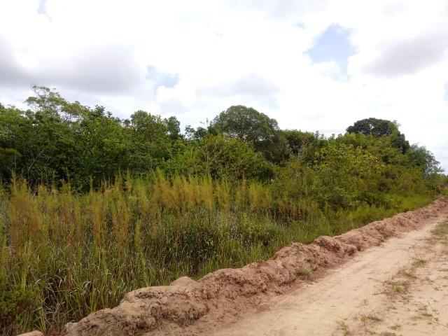 Excelente Oportunidade V ou T - Foto 12