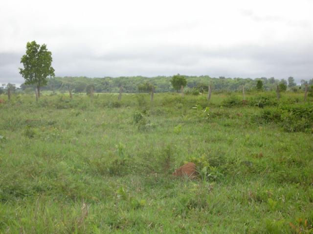 Fazenda em Poconé Cangas próximo á usina com 151 hectares - Foto 4