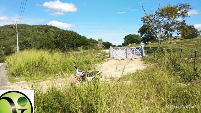 Areá com 65 Hectares nas Margens da Pista de Mandacaru em Gravatá-PE - Foto 3