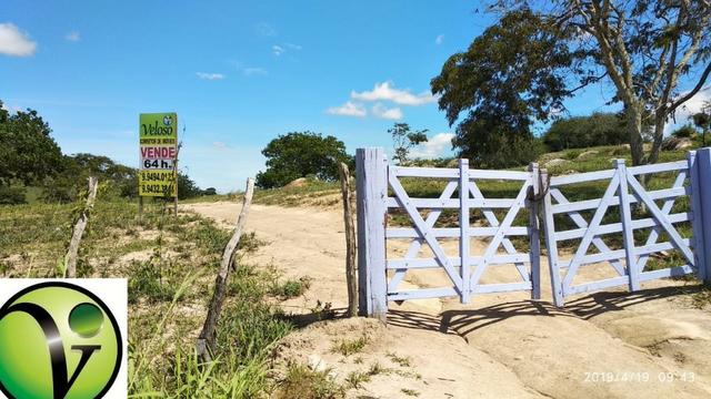 Areá com 65 Hectares nas Margens da Pista de Mandacaru em Gravatá-PE - Foto 2