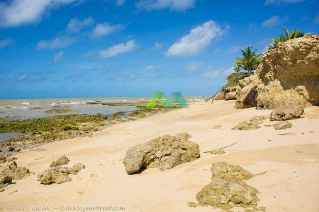 Terreno de 14.000m² - frente para o mar - cumuruxatiba - bahia - Foto 12