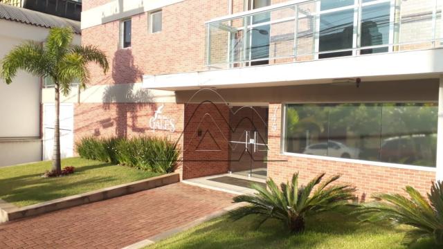 Apartamento - Foto 3