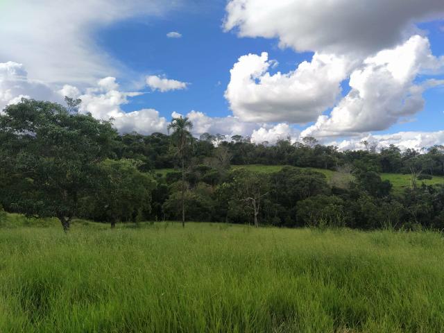 Linda chácara em Bela Vista de Goiás - Foto 4