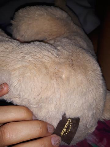 Urso de pelúcia da cacau show - Foto 3