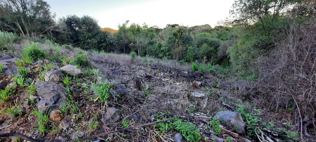 Vende-se terreno - Foto 4