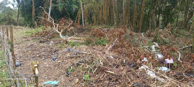 Terreno Cascatinha  - Foto 2