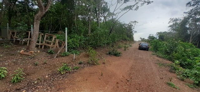 Foto - Goiânia - Jardim América
