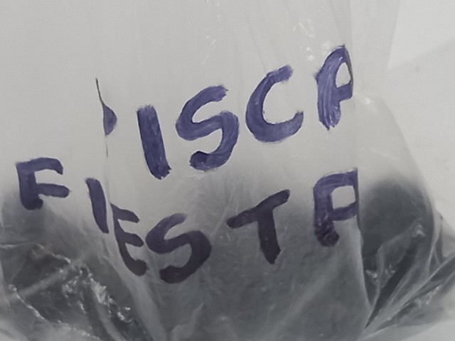 Soquete Pisca Fiesta com Lâmpada  - Foto 2