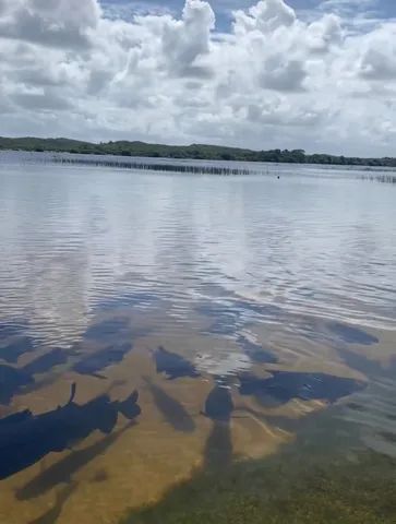 Casa para temporada na Lagoa dos Tambaqui