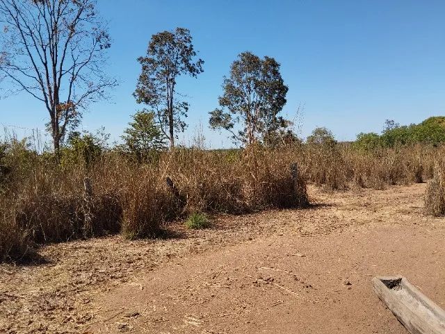 foto - Palmas - Plano Diretor Sul