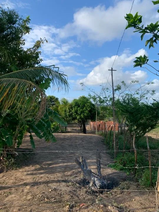 foto - Aracaju - Japãozinho