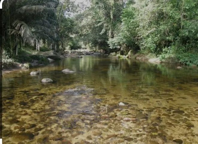 foto - Ubatuba - 