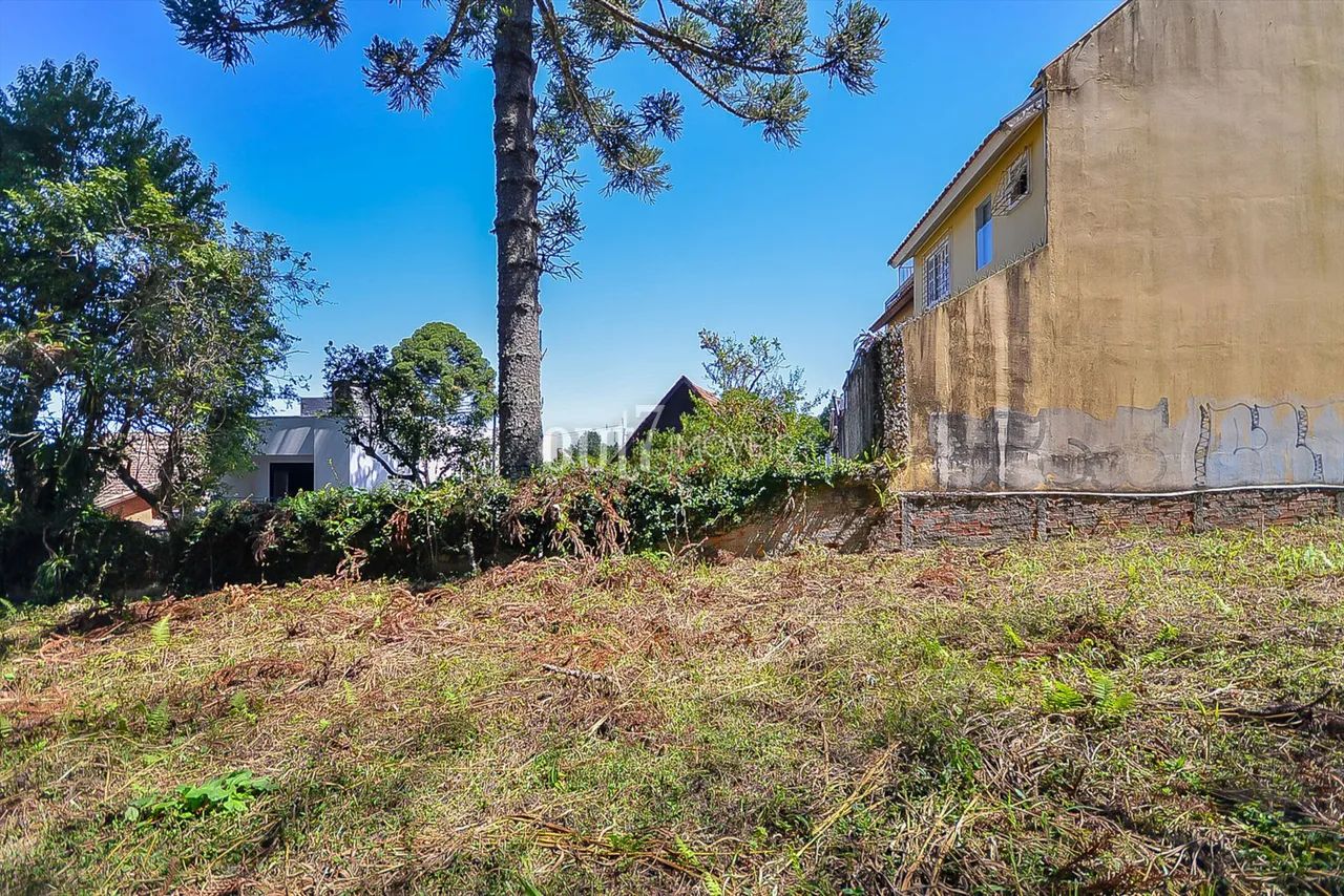 Terreno ZR-2 no Pilarzinho, ideal para construção do seu novo lar! - Foto 8