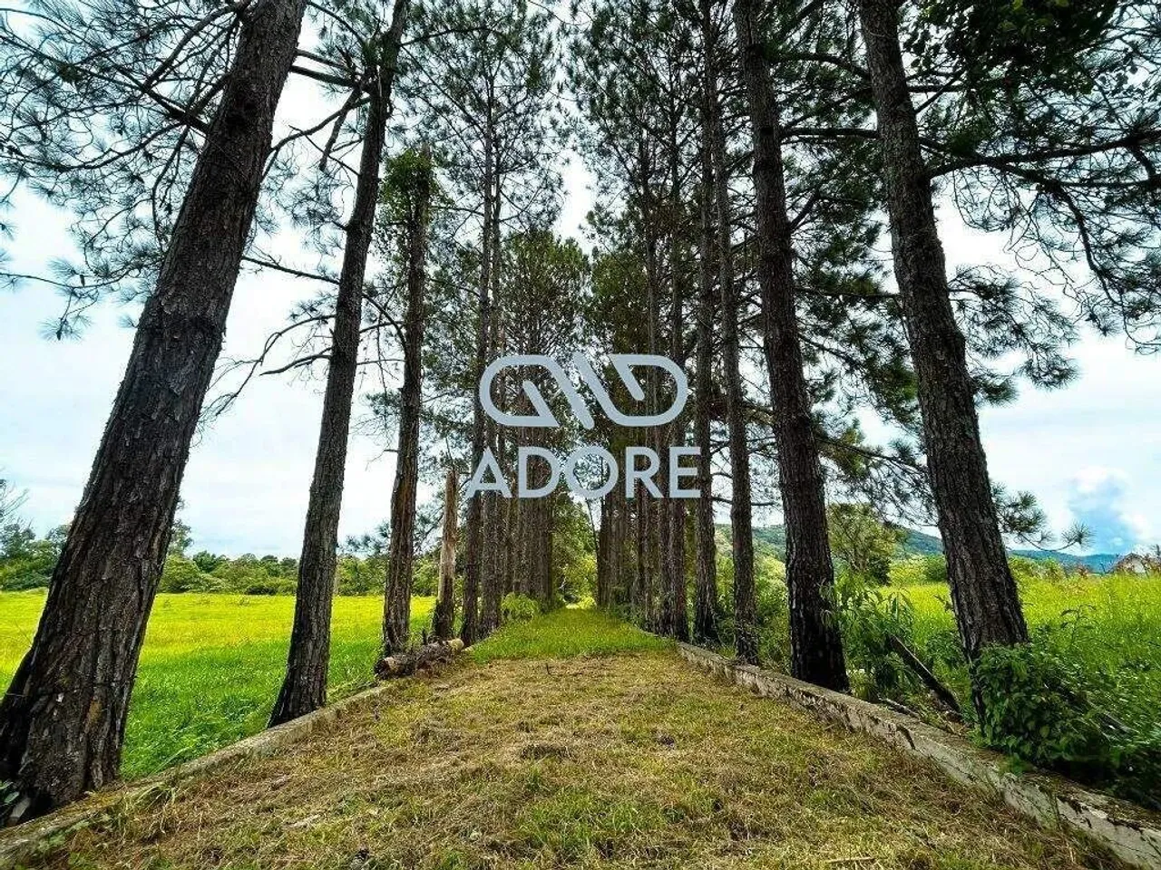 Sítio a venda na Cidade de Vargem - SP
