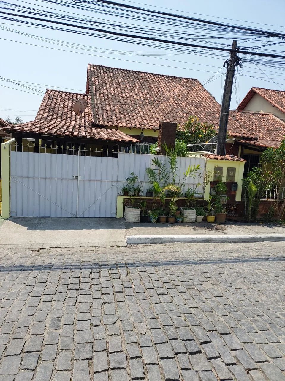 Foto - São Gonçalo - Galo Branco