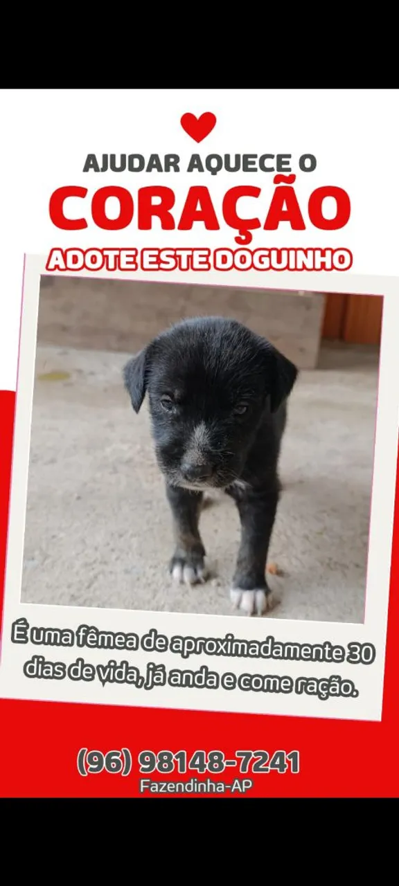 Filhote de cachorro preto (1 mês)