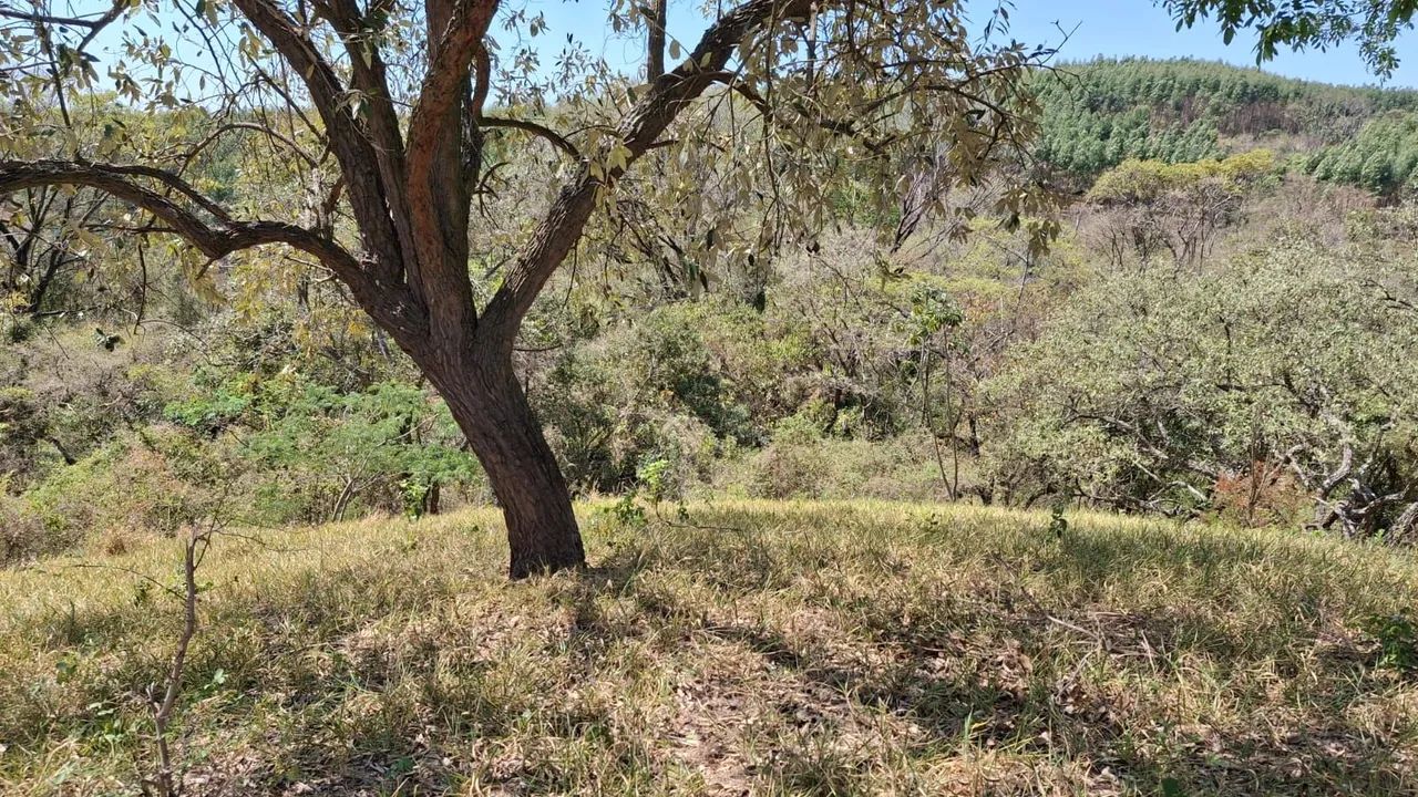 Primeira imagem do imóvel