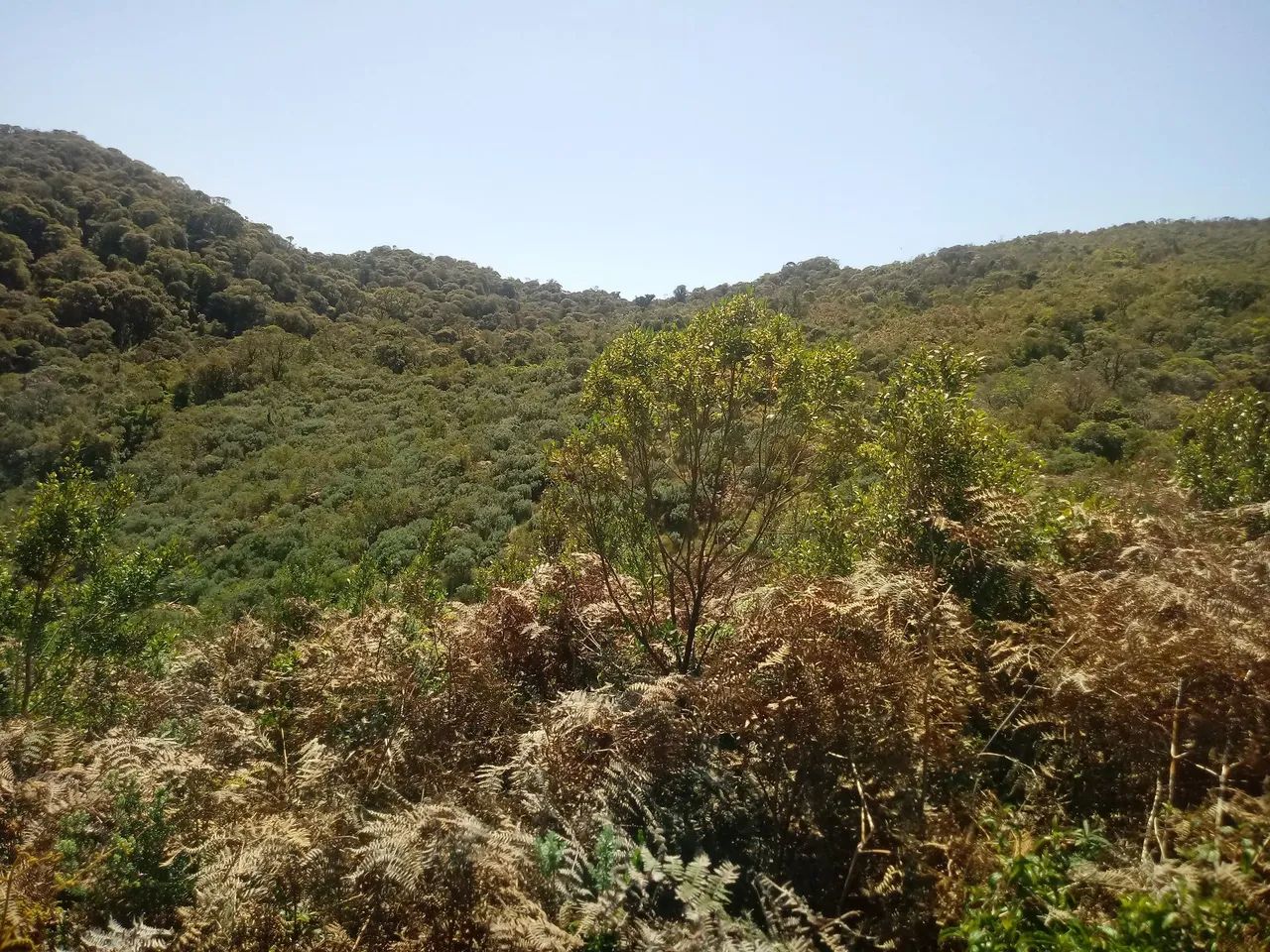 Terreno 102 hectares em Anitápolis-SC  - Foto 5